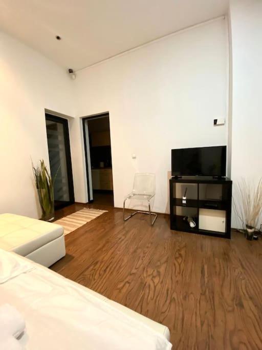 Harmony Homes- Piata Unirii Central Apartament Тимишоара Екстериор снимка