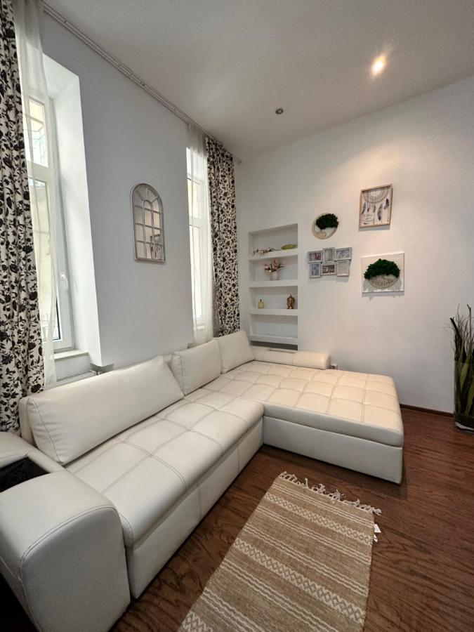 Harmony Homes- Piata Unirii Central Apartament Тимишоара Екстериор снимка