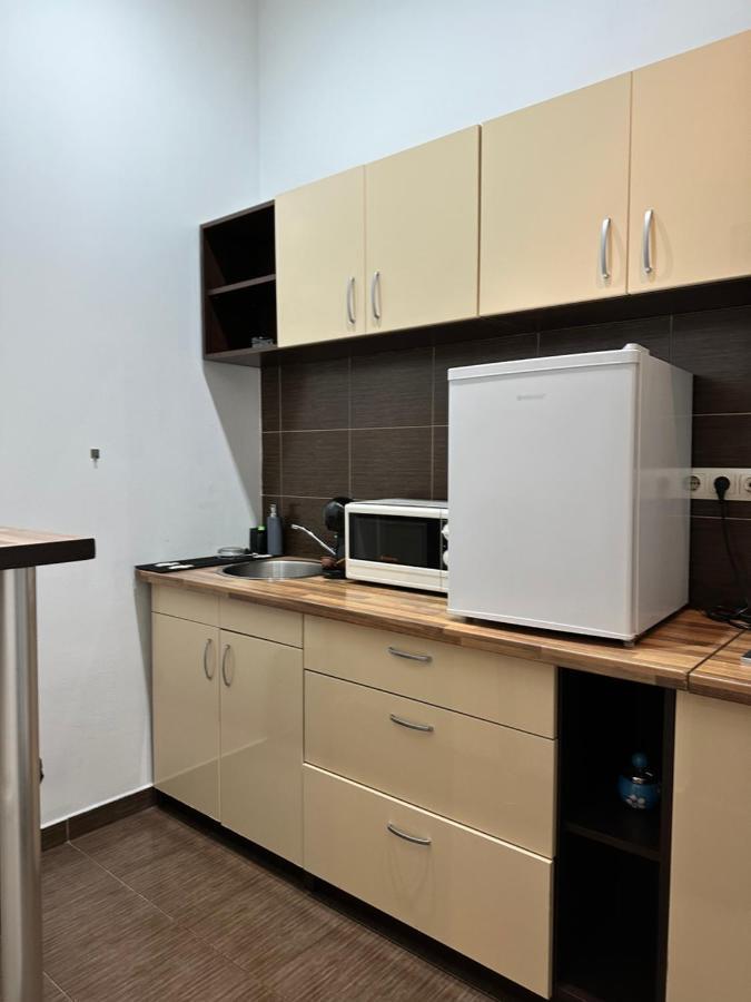 Harmony Homes- Piata Unirii Central Apartament Тимишоара Екстериор снимка